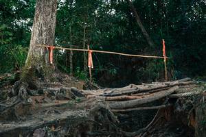 BIB: 
                            <button type="button" onclick="openModal(27319905)" class="btn btn-primary btn-sm float-right btn-popup" data-toggle="modal" data-target=".modal-high-quality">
                        <i class="fas fa-shopping-cart"></i> Add to Cart
                    </button>
                                            <button type="button" onclick="isThisMe(27319905, true)" class="btn btn-success btn-sm float-right btn-popup btn-isme hidden" data-toggle="tooltip" data-placement="bottom" title="นี่คือรูปของคุณใช่ไหม คลิกที่นี่เพื่อเอาเข้าอัลบั้ม">
                        <i class="fas fa-plus"></i> Add to album
                    </button>
                    <button type="button" onclick="isThisMe(27319905, false)" class="btn btn-warning btn-sm float-right btn-popup btn-isnotme hidden">
                        <i class="fas fa-ban"></i> Remove from album
                    </button>